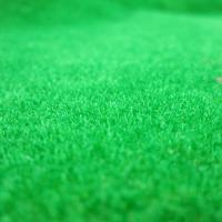 草皮 仿真DIY沙盘建筑模型草地坪纸 草坪贴 绿草地装饰