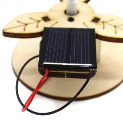 [星之河畔]太阳花