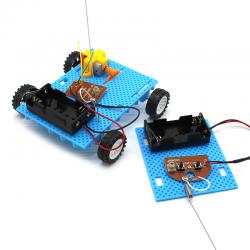 [画中麦田]两通遥控车