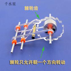 加厚款棘轮套装(透明) 棘轮棘爪齿轮装置 diy配件 齿轮模型 单向