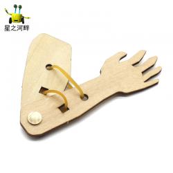 [星之河畔]肌肉与骨骼1号